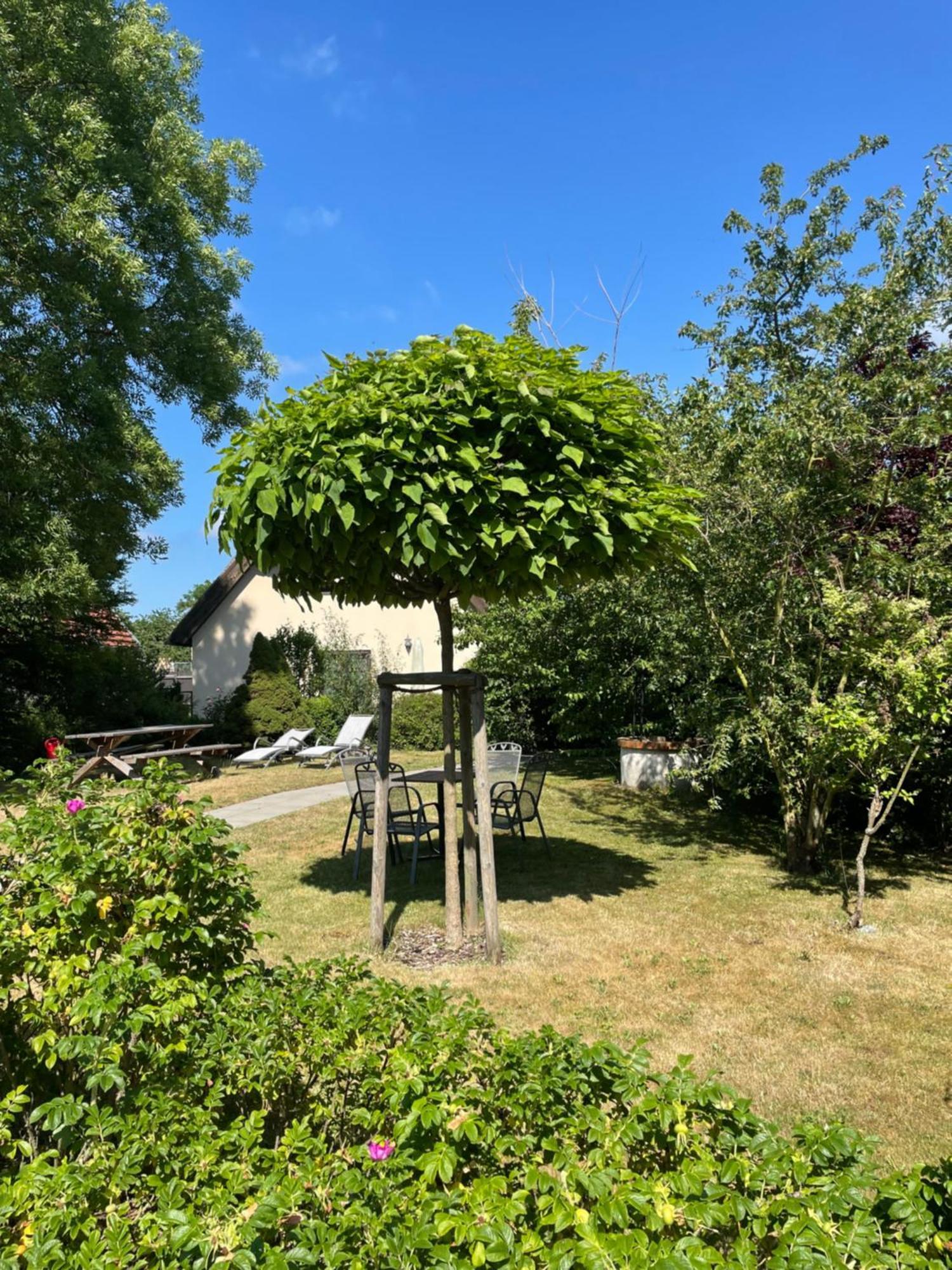 Fischerhus In Krummin - Nur Fuer Urlauber ภายนอก รูปภาพ