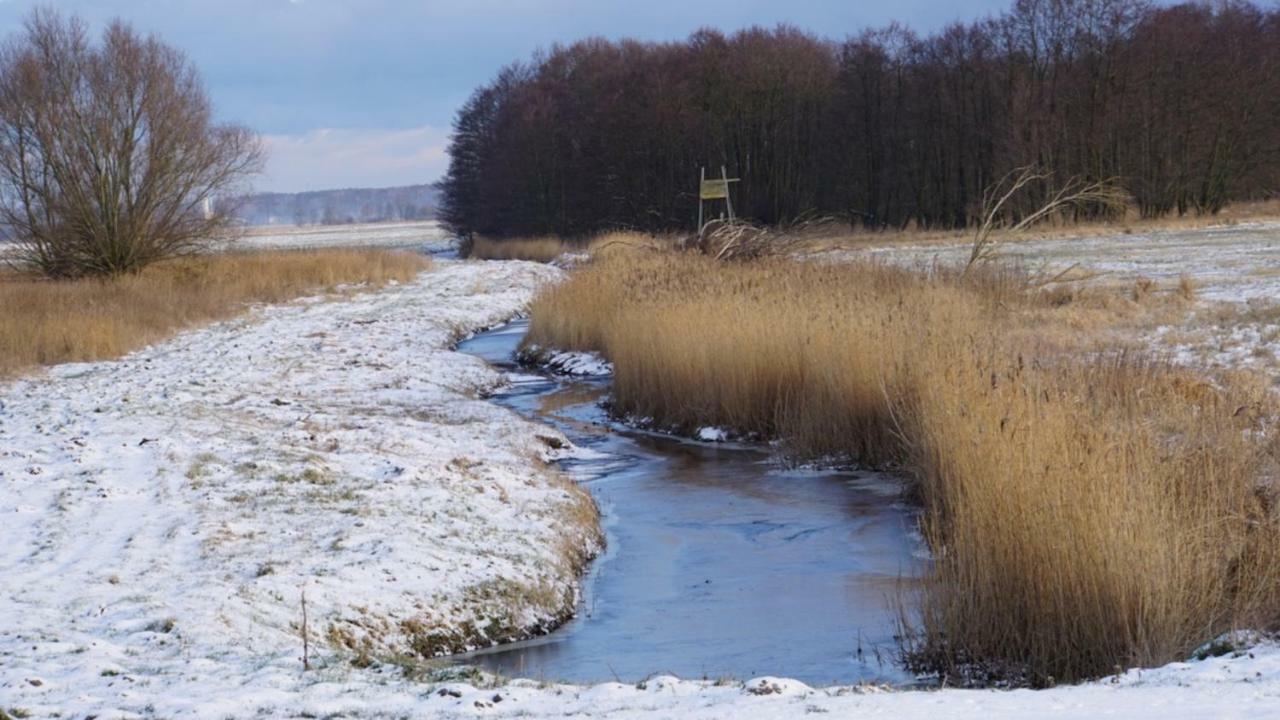 Fischerhus In Krummin - Nur Fuer Urlauber ภายนอก รูปภาพ
